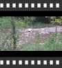 ../pictures/Everett Road Covered Bridge/DSCF9069_1_small_icon.jpg